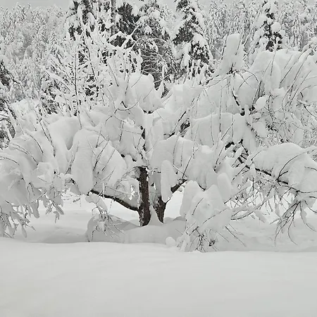 Haus Gaichtspitzblick
