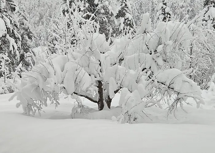 Haus Gaichtspitzblick